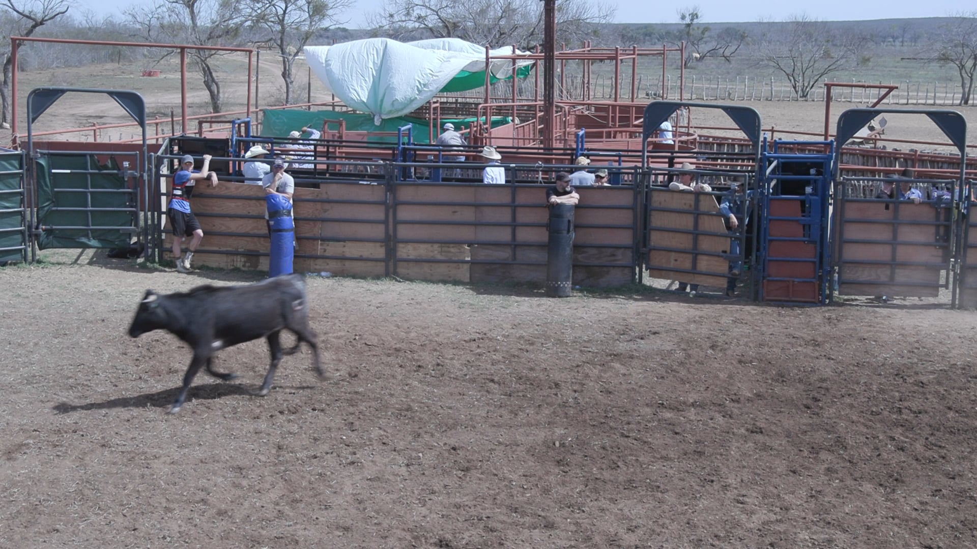 Uvalde D Camp Day 2 2020