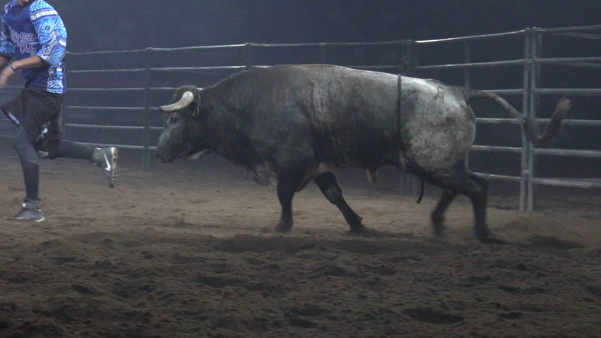 2019 Bulls After Dark - Aaron Mercer Slo-mo (Day 1)