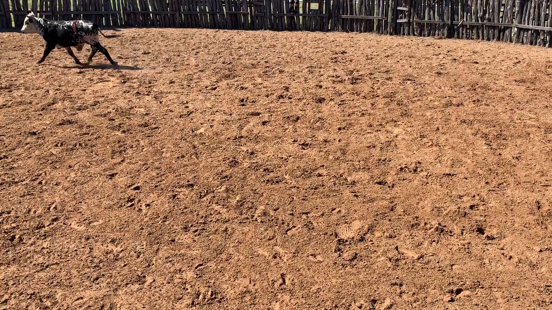 Decatur D-Camp Day 1