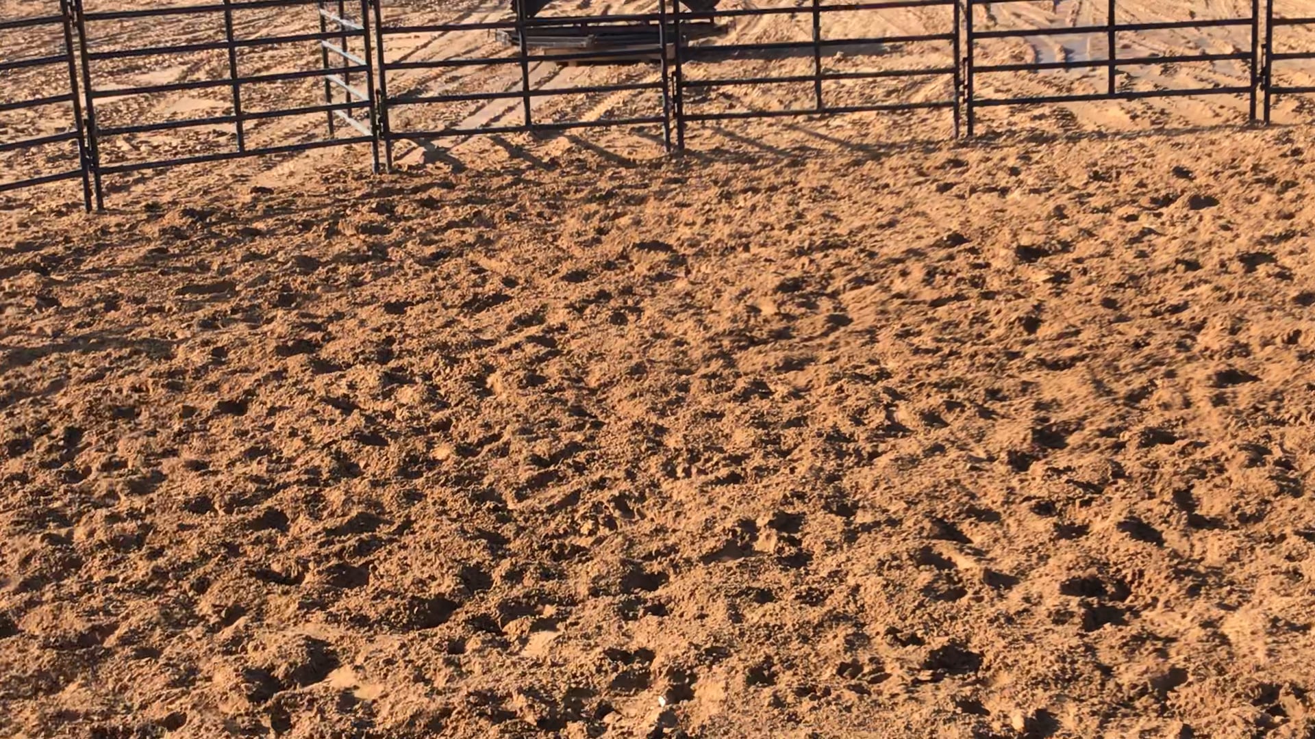 Super Camp 2018 - Day 2