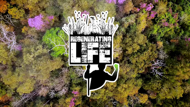 Regenerating Life