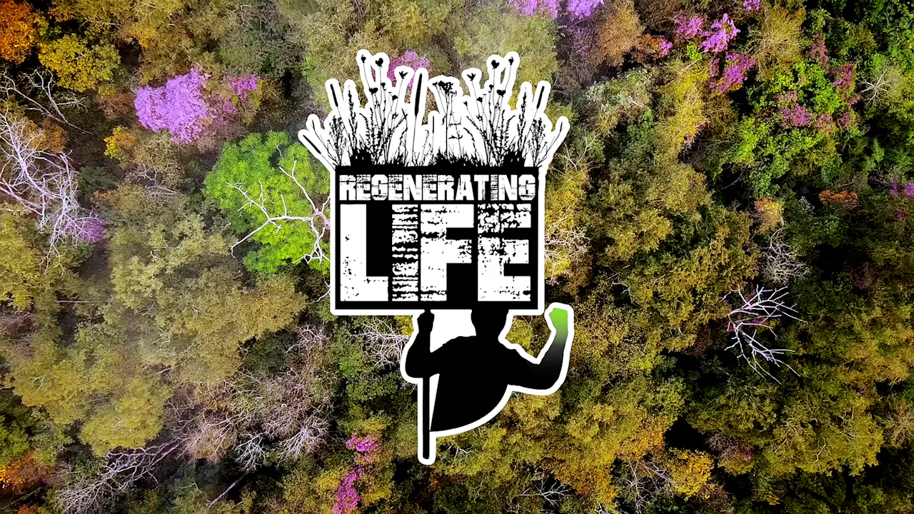 Regenerating Life