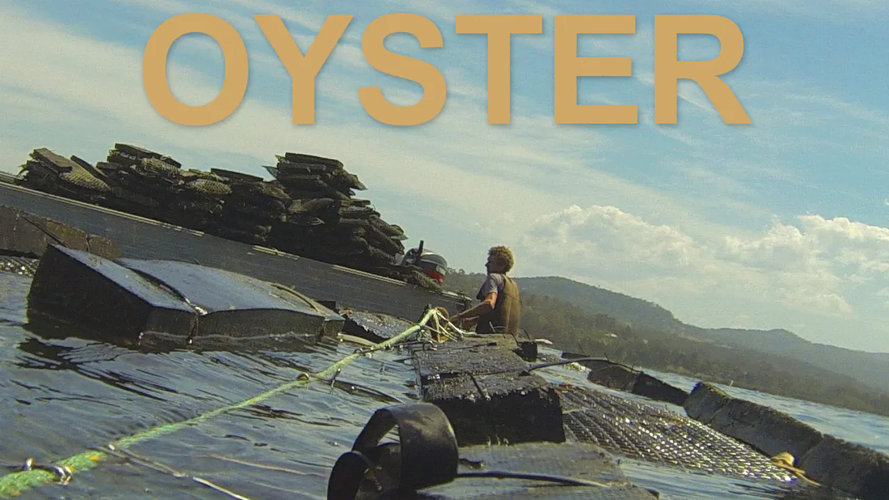 Oyster