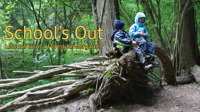 School's Out: Lessons from a Forest Kindergarten
