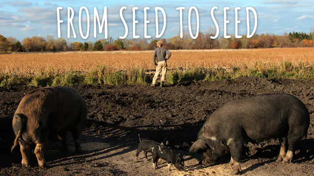 From Seed To Seed