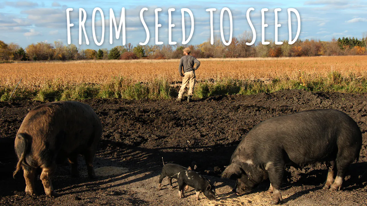 From Seed To Seed