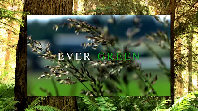 Ever Green