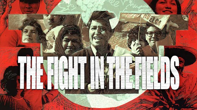 The Fight in the Fields
