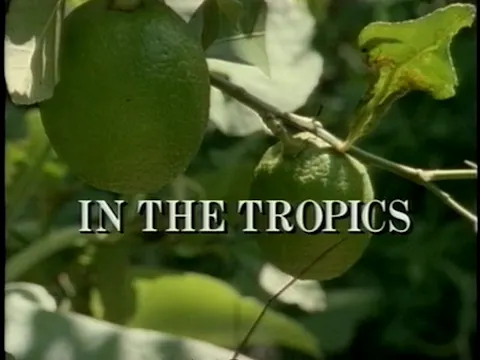 Global Gardener: In The Tropics