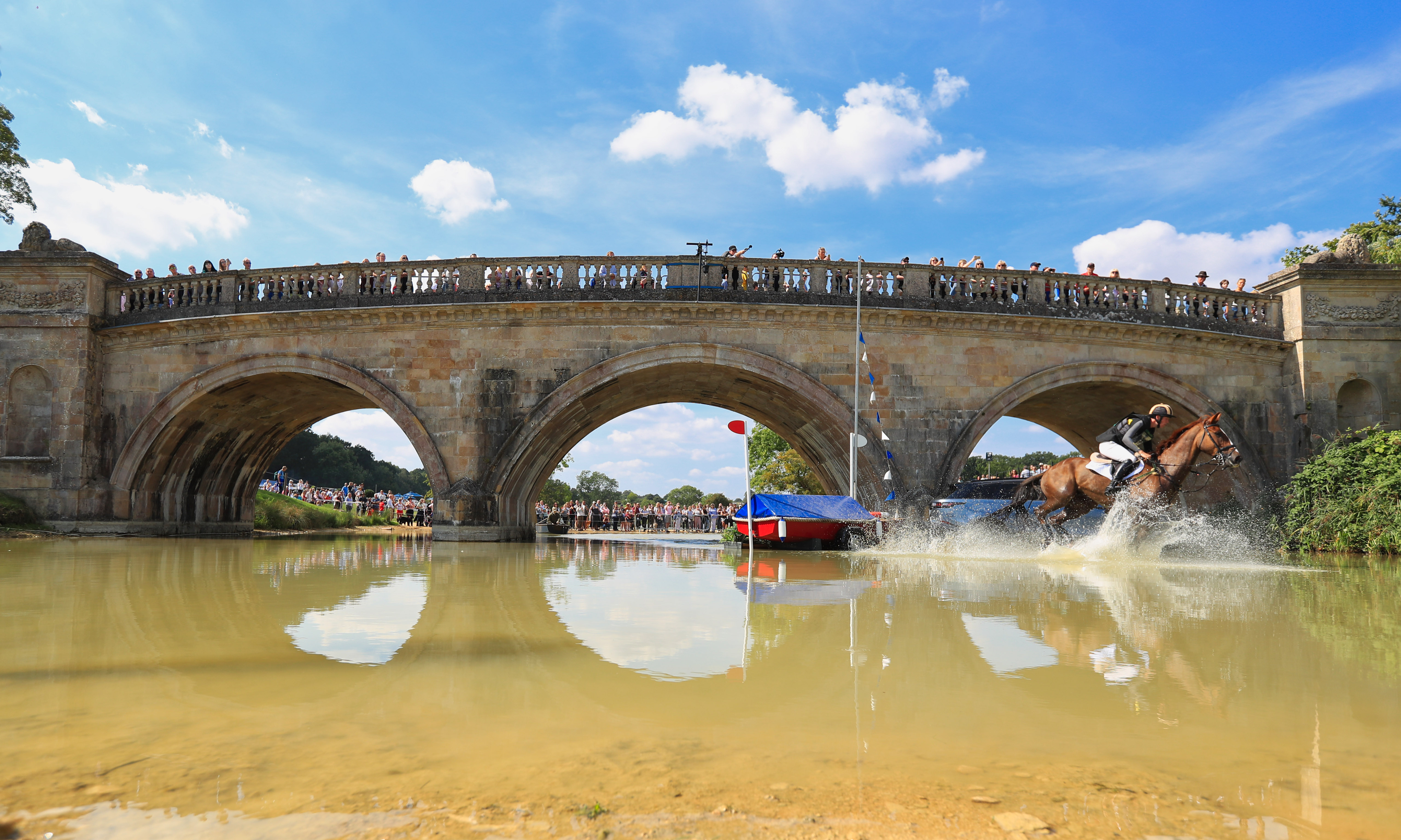 The Rest of the Action 2022