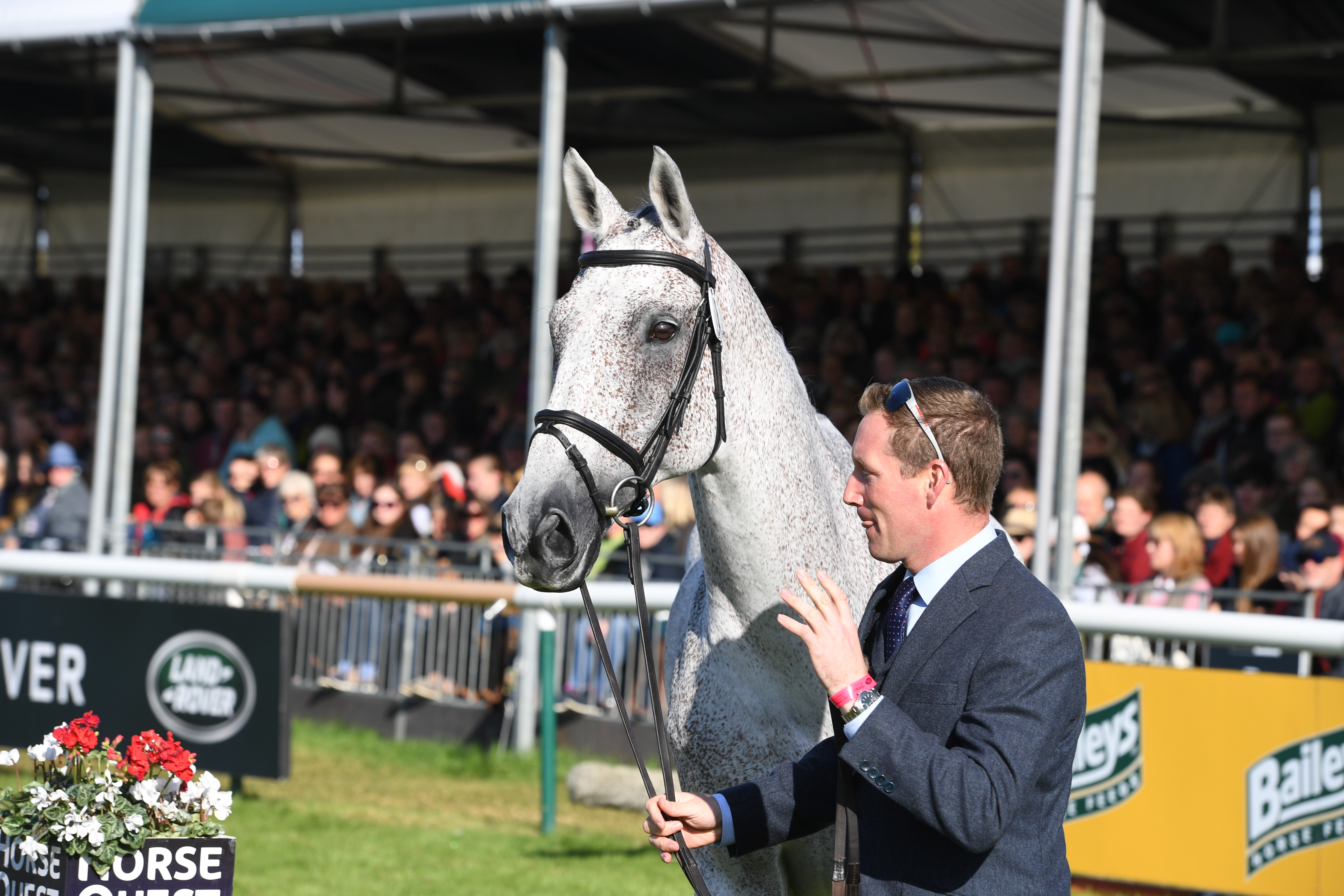 Final Horse Inspection