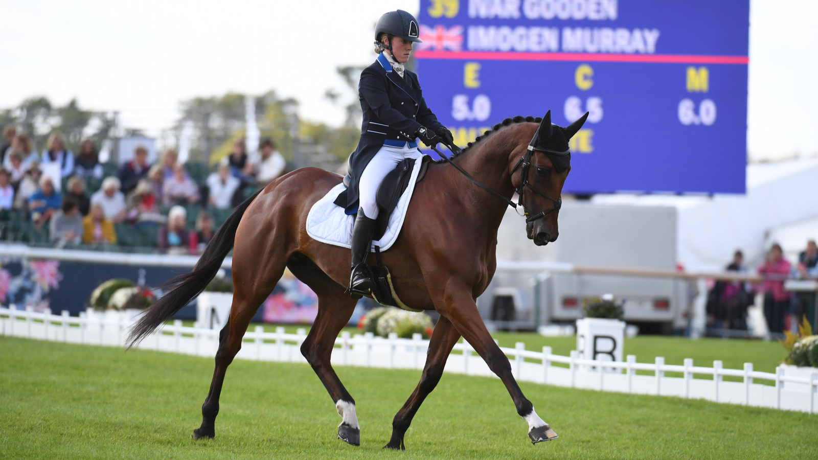 Thursday Dressage; Session Four