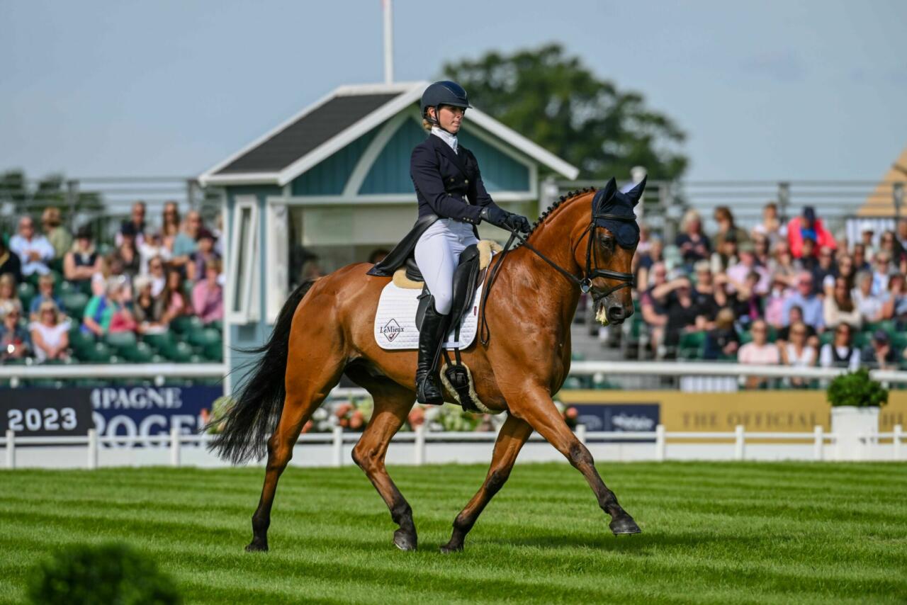 Thursday 31 August - Dressage Session 1