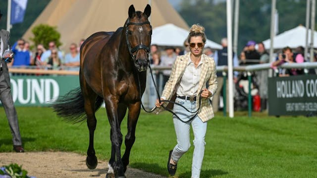 Sunday 3 September - Final Horse Insp...