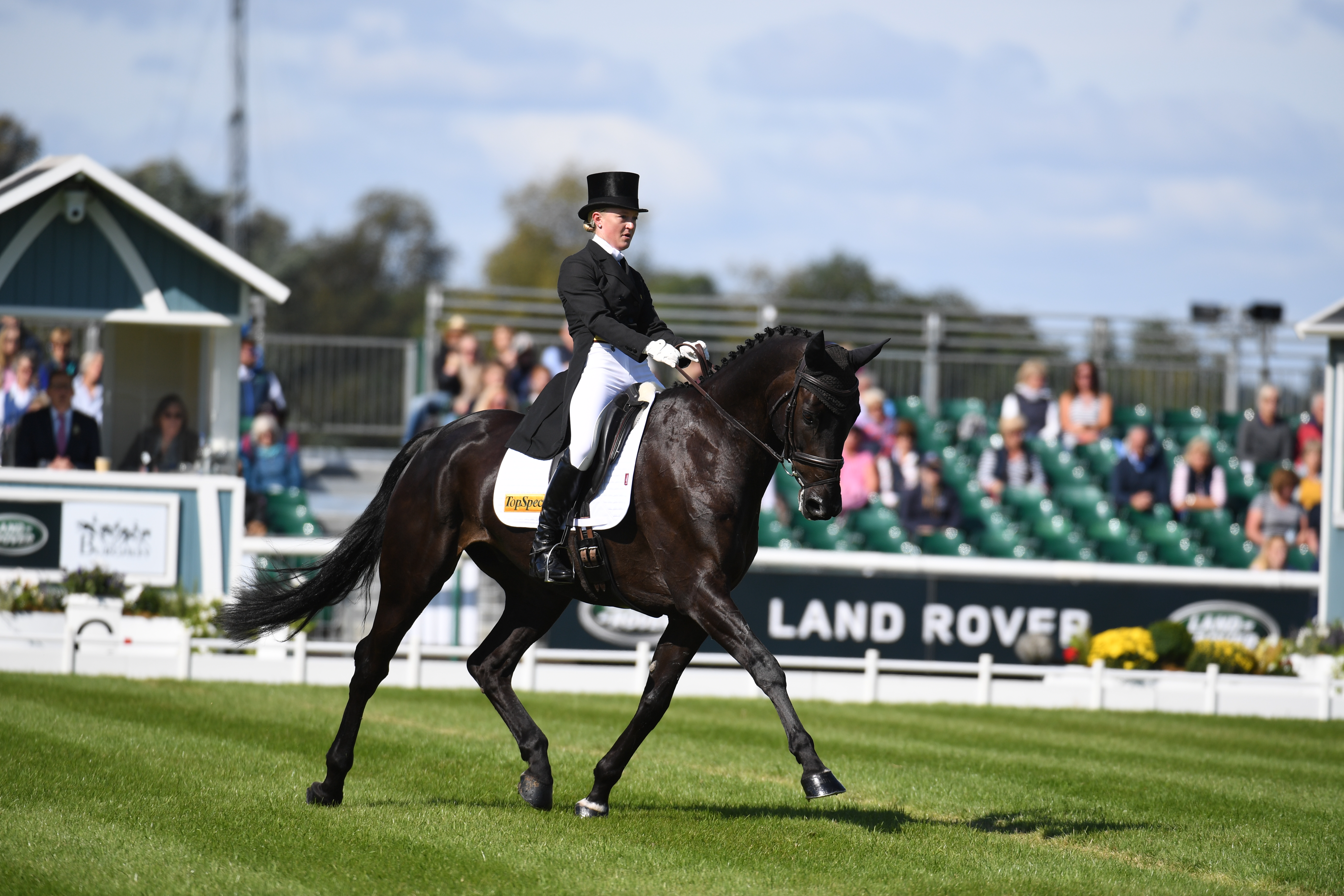 Thursday Dressage; Session Two