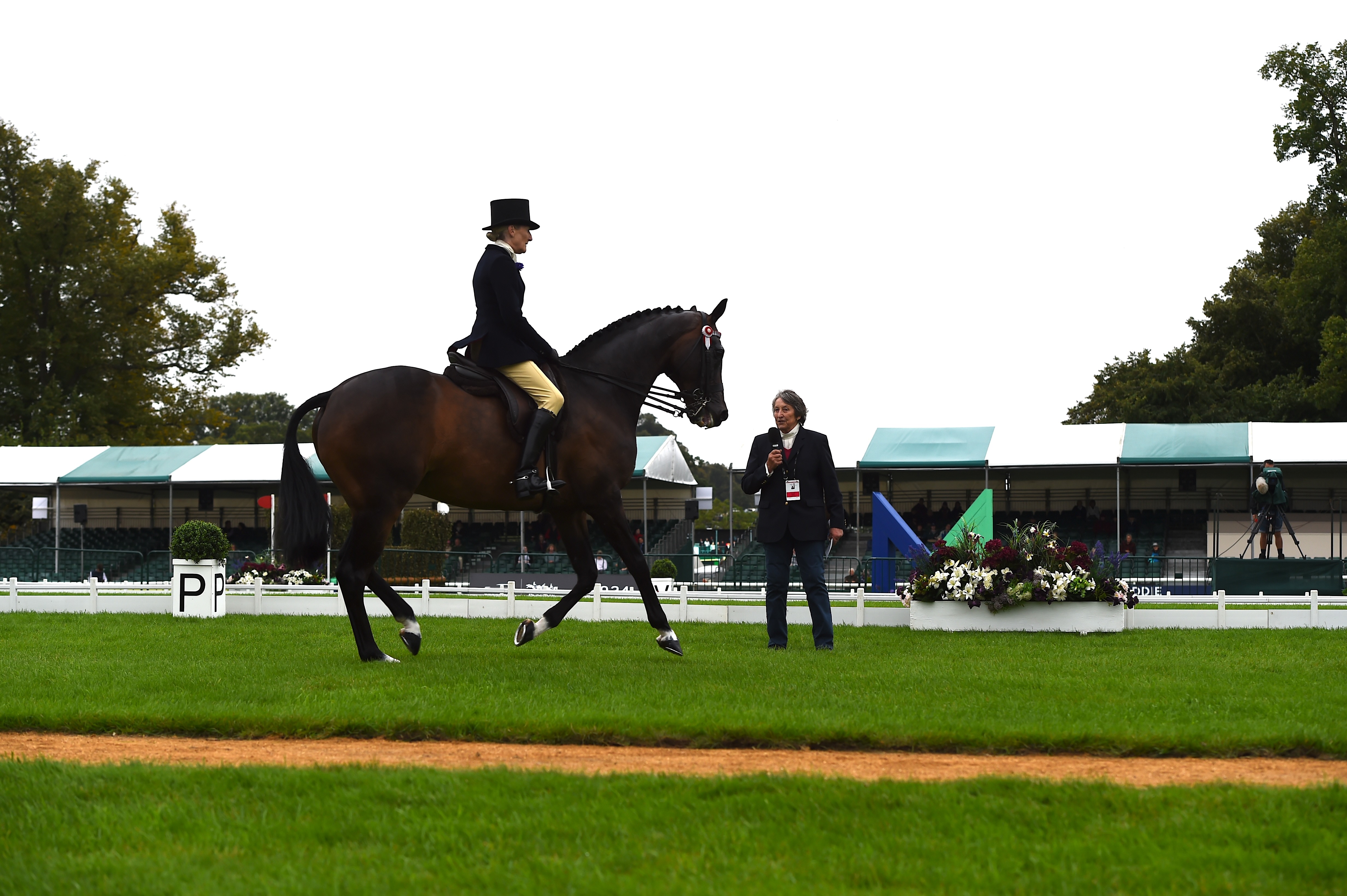 Masterclass: Henrietta Knight - Re educating the Racehorse
