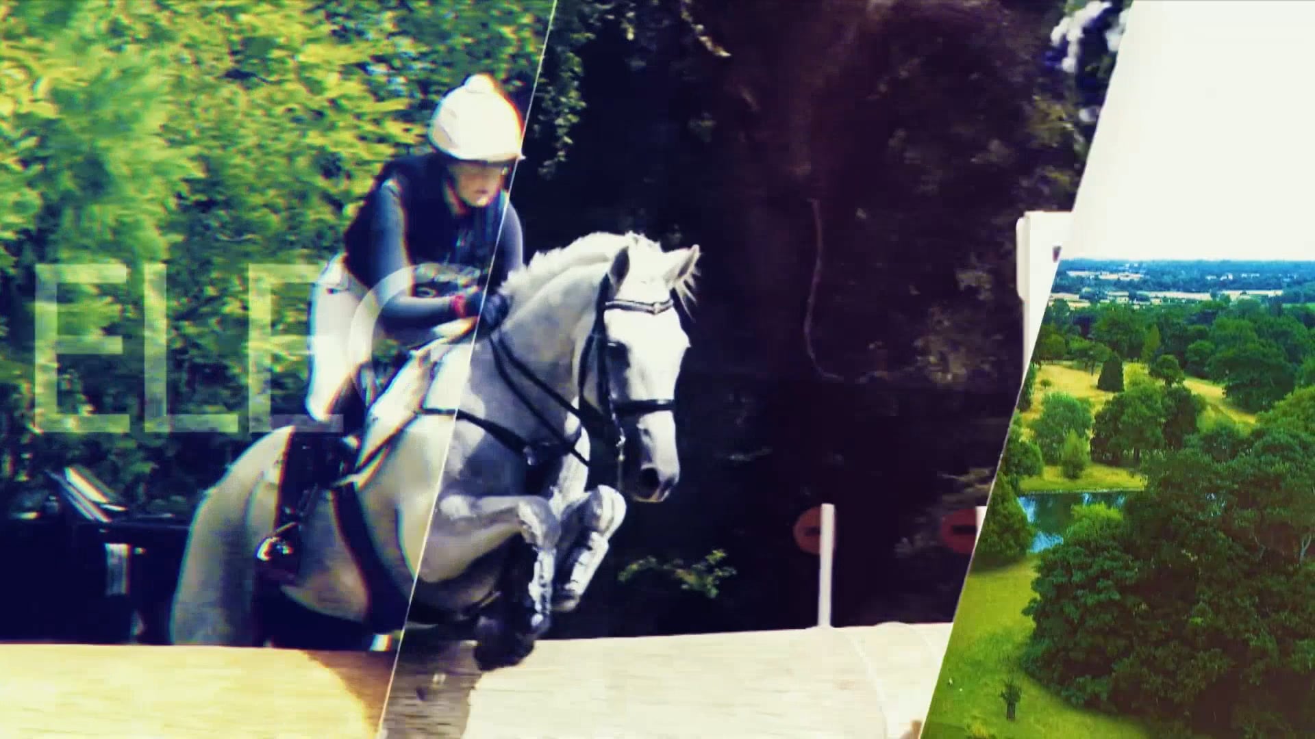 Day 4 - Final Show Jumping & Trophy Presentation