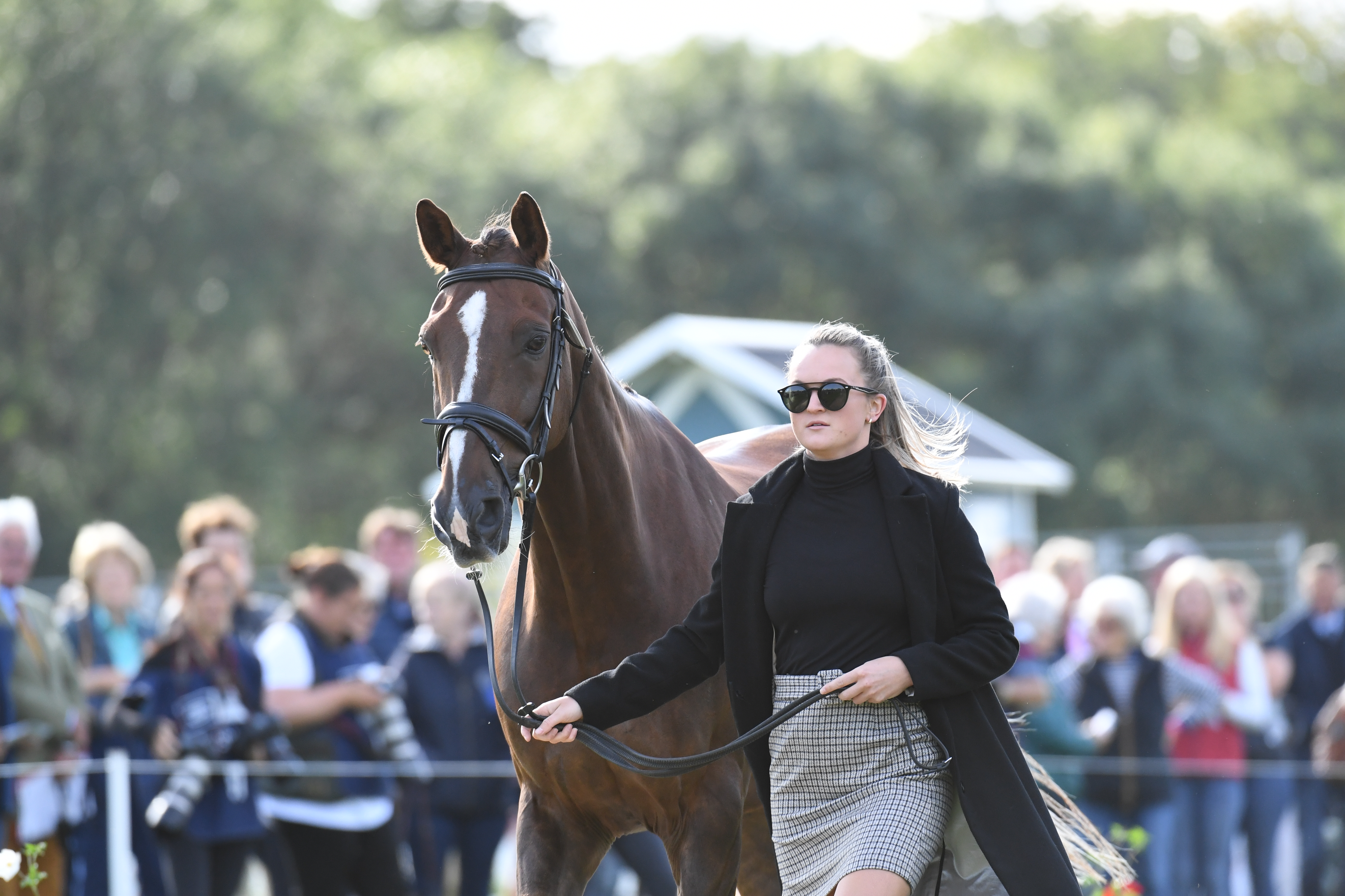 First Horse Inspection