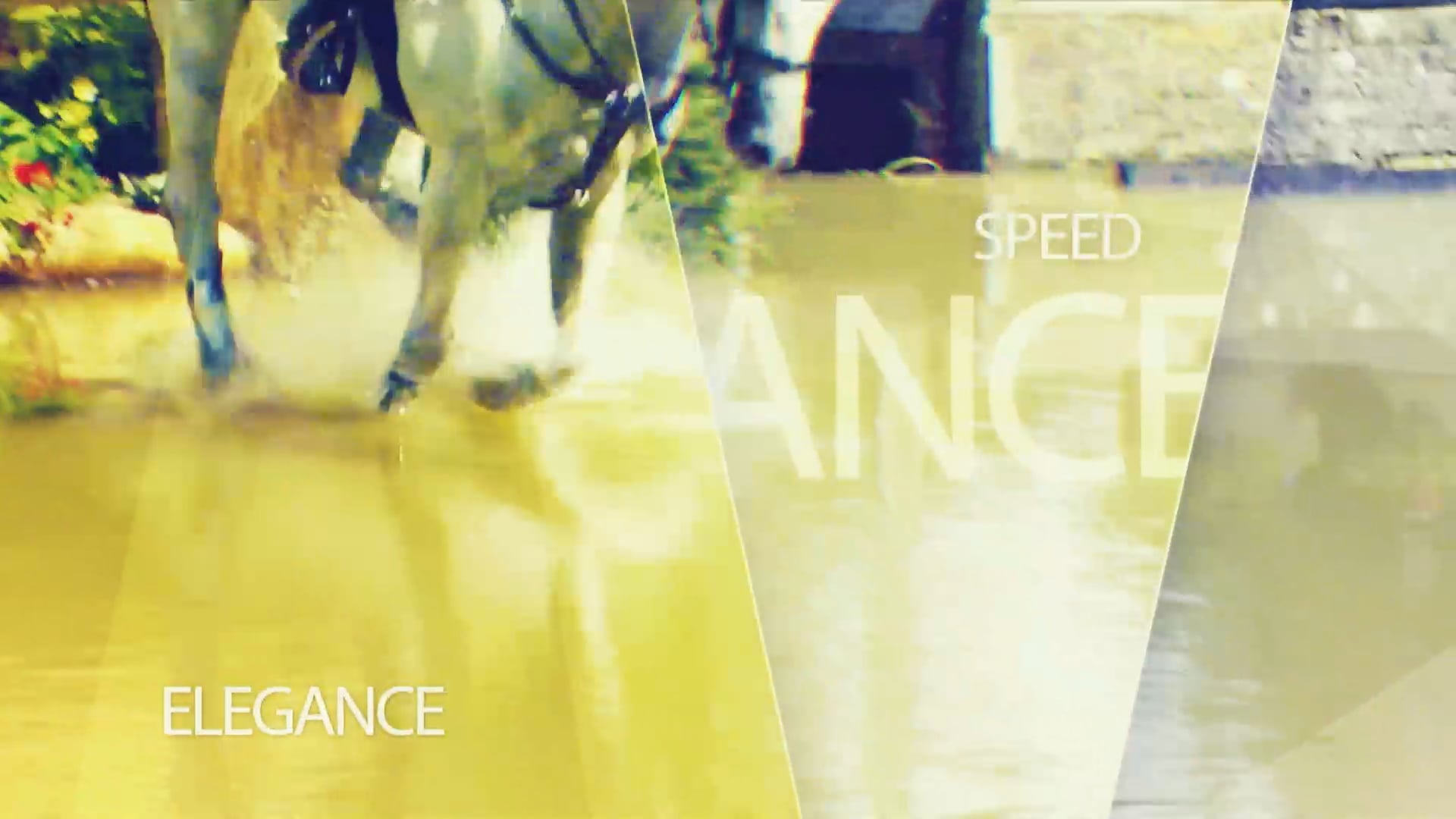 Day 4 - Final Horse Inspection