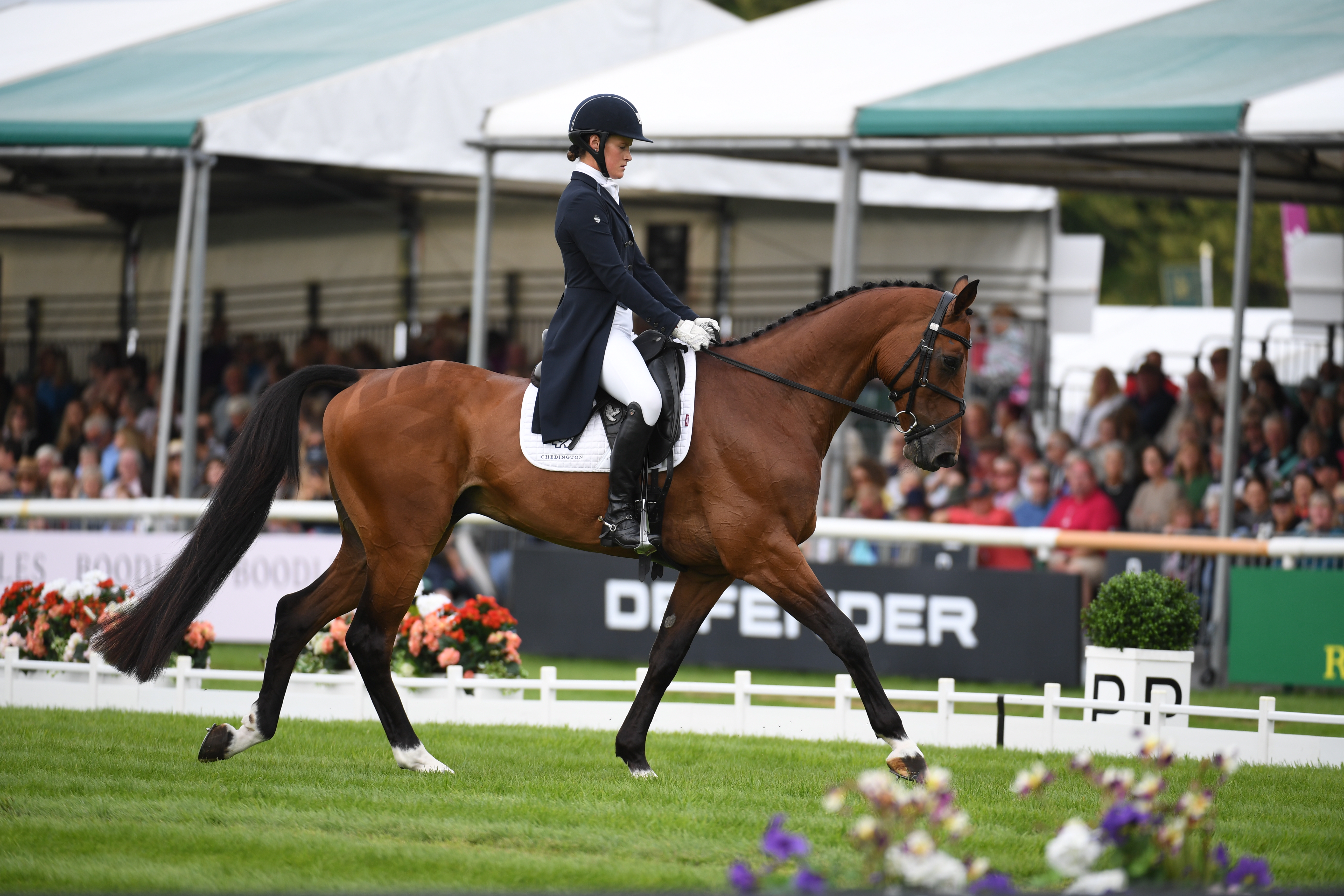 Friday 1st September - Dressage Session 3