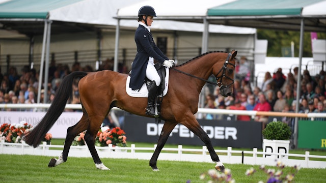 Friday 1st September - Dressage Session 3