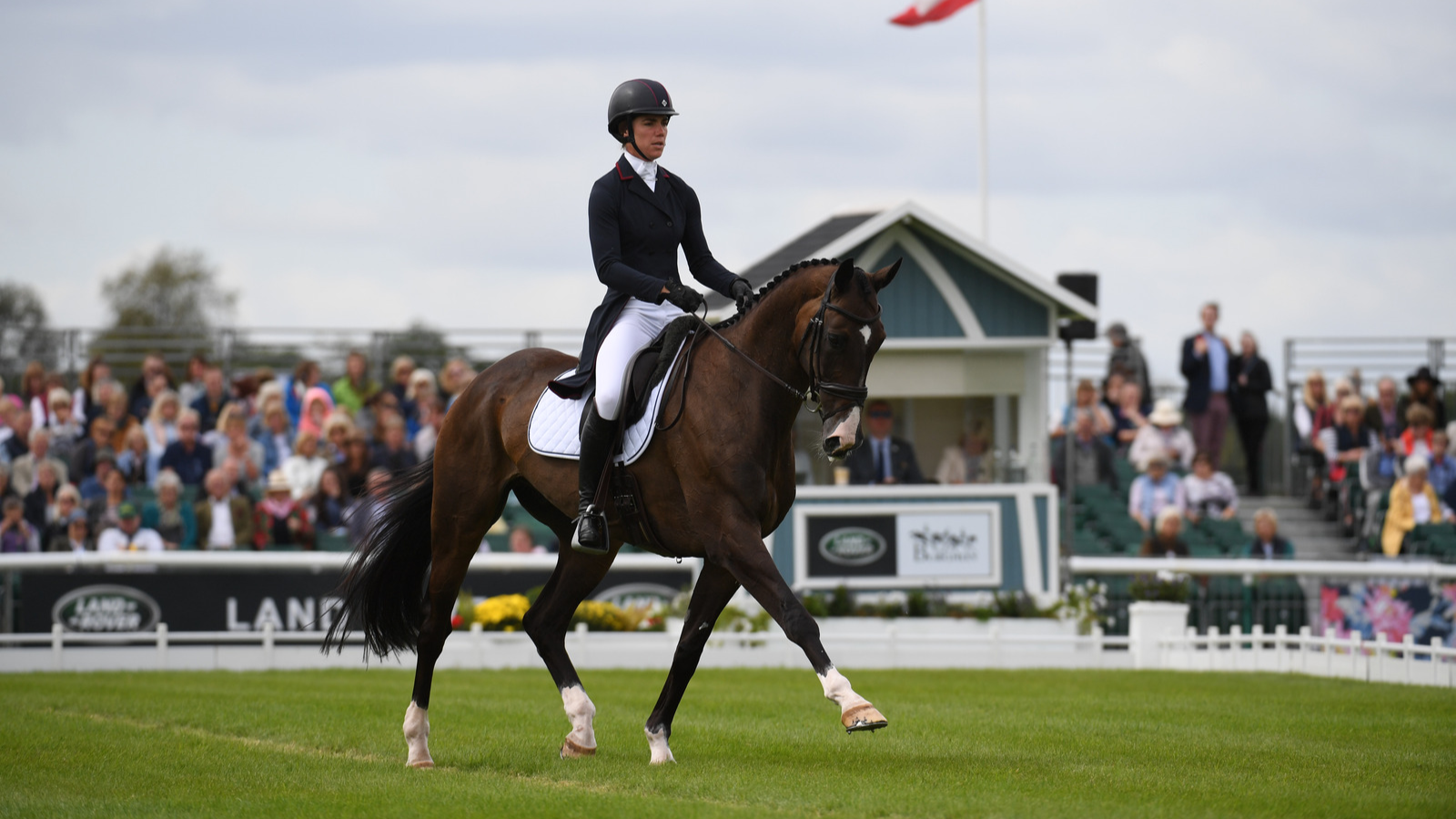 Thursday Dressage; Session Three