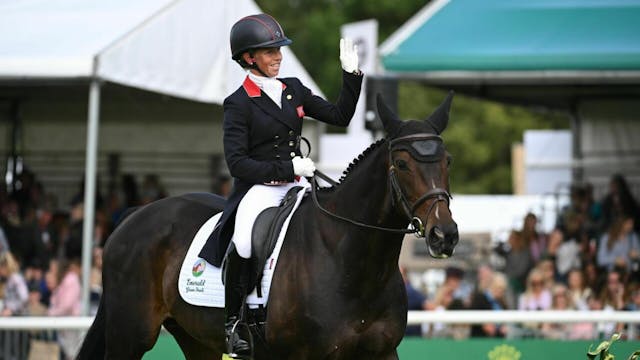 Thursday 31 August - Dressage Afterno...