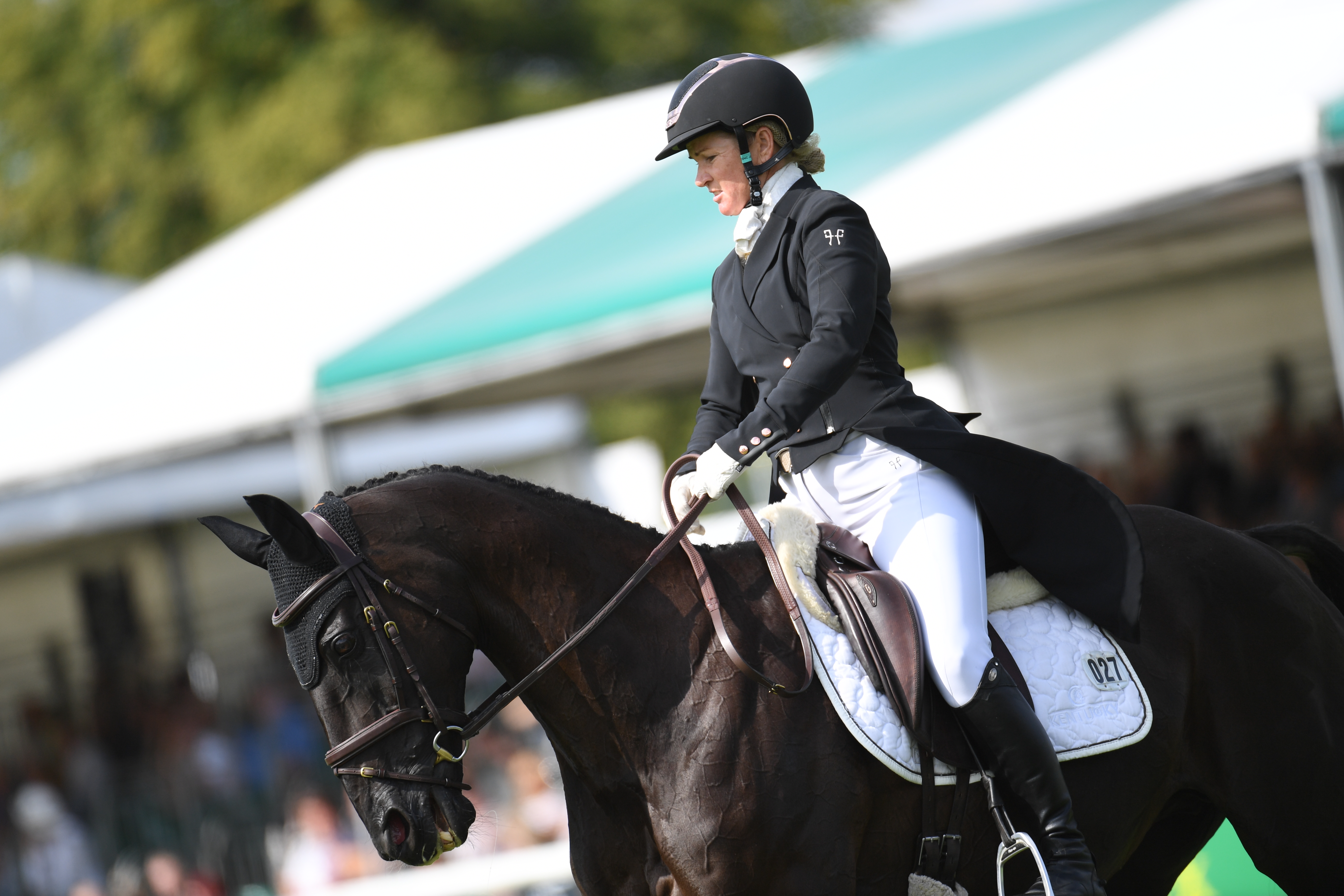 Friday 1st September - Dressage Session 1