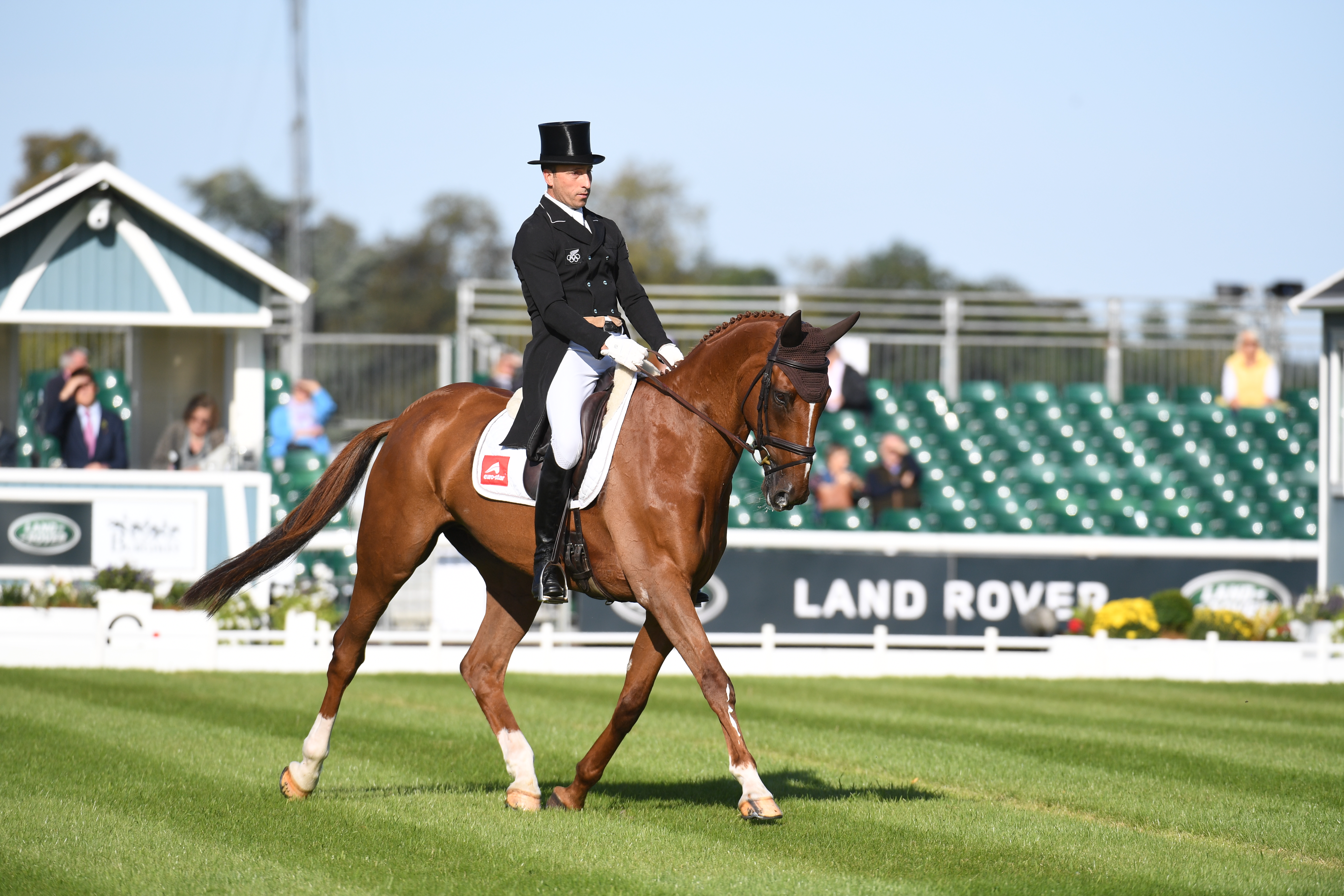 Thursday Dressage; Session One
