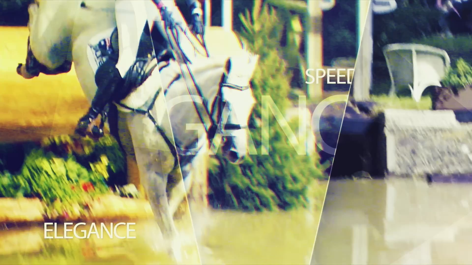 Day 2 - Dressage Session 1