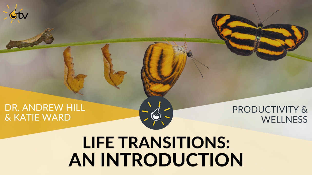 Life Transitions: an Introduction