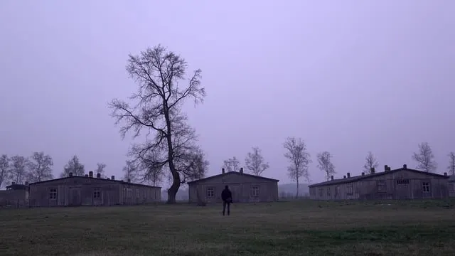 Dear Sirs (Director's Cut)