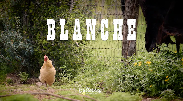 BLANCHE