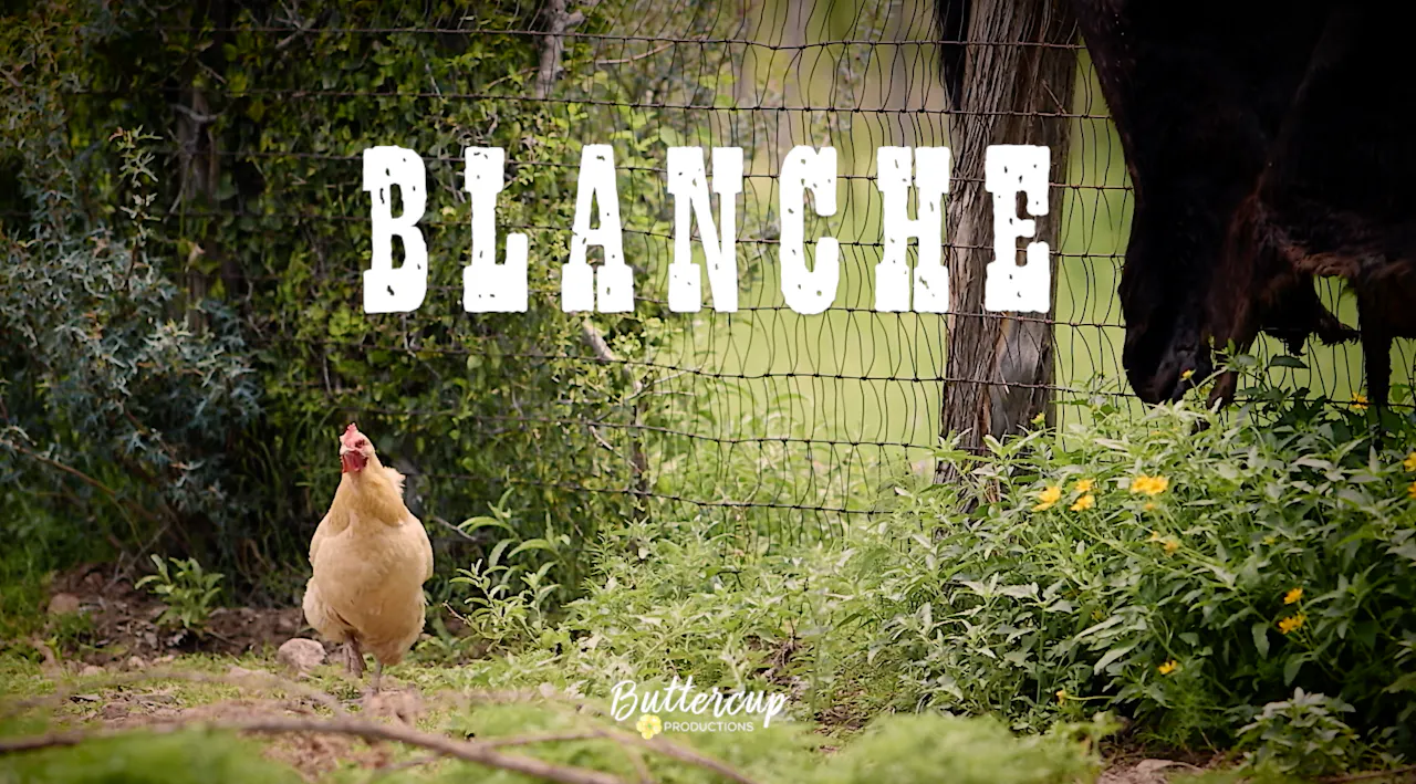 BLANCHE