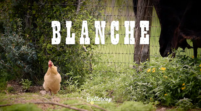 BLANCHE