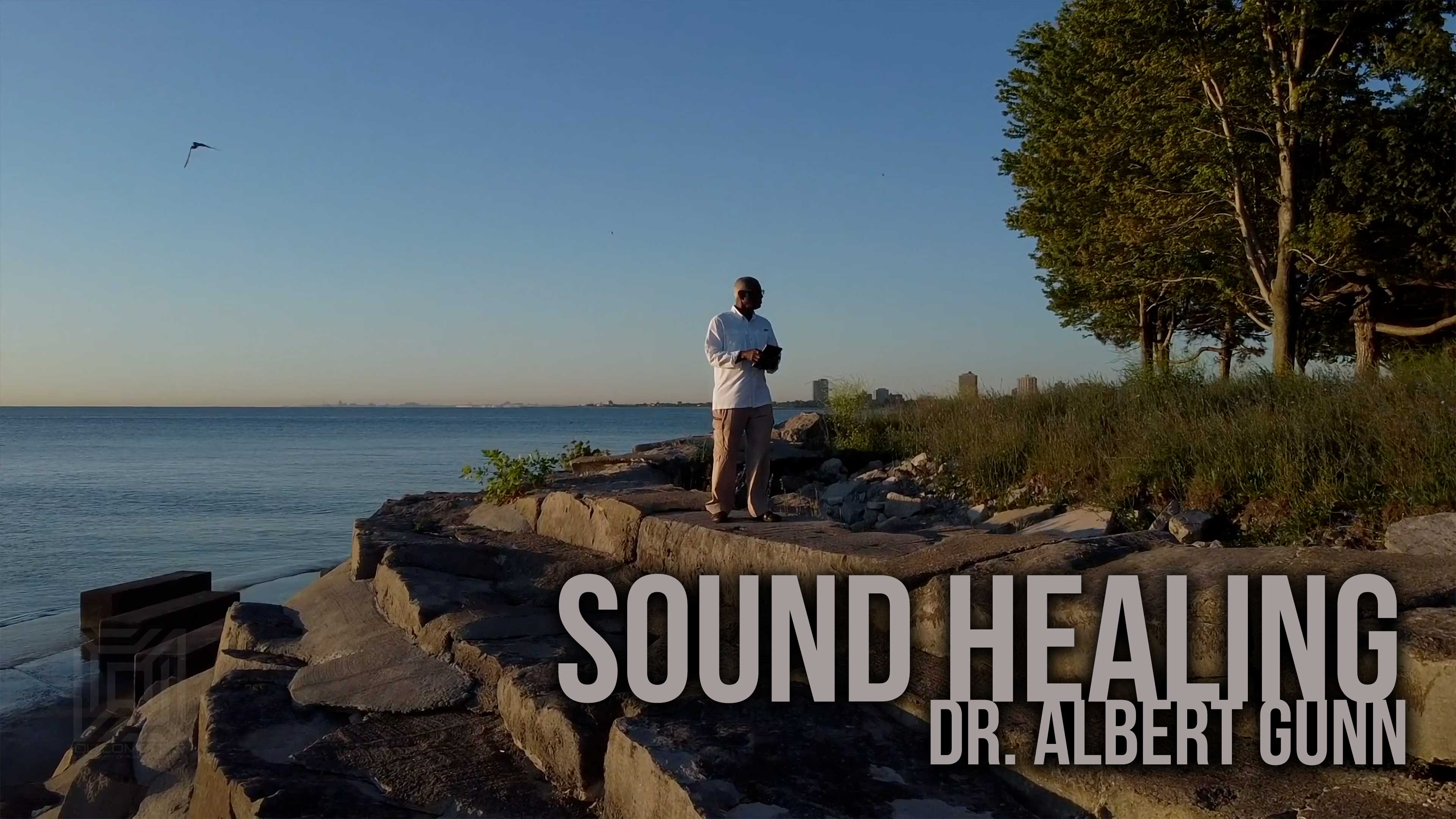 Albert Gunn EDIT 8_1