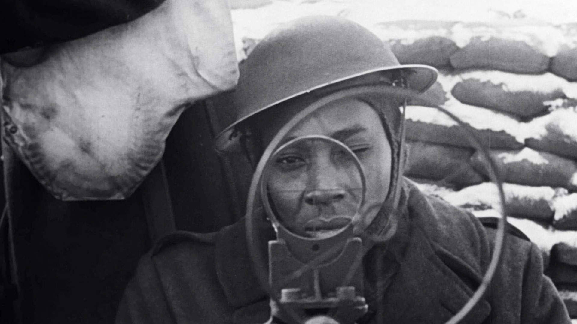 The Black Soldier