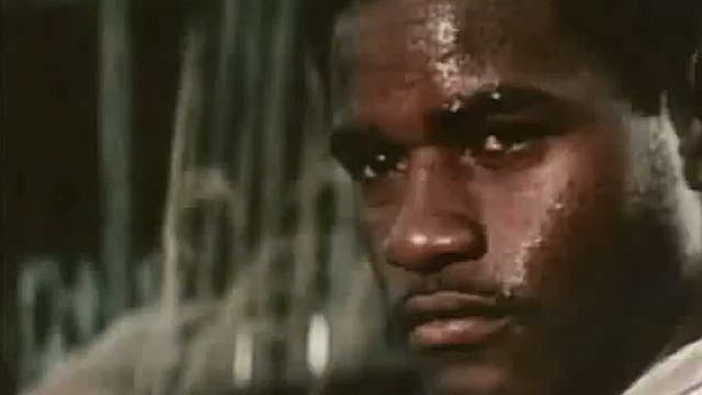 Fist fighter (AKA Valley of the double dragon)