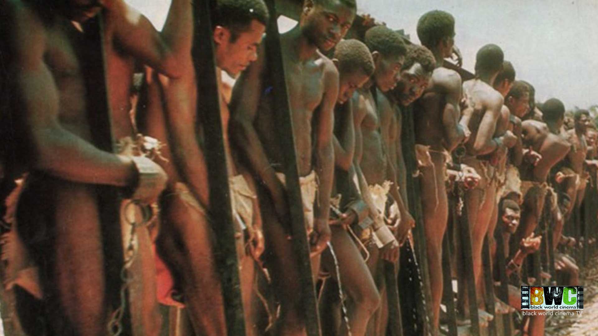 Goodbye Uncle Tom 1971