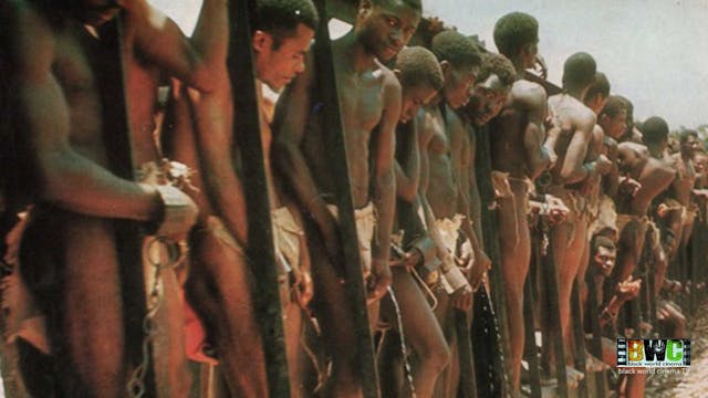 Goodbye Uncle Tom 1971