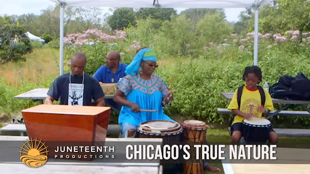 Chicago’s True Nature (60 min, 2016 C...