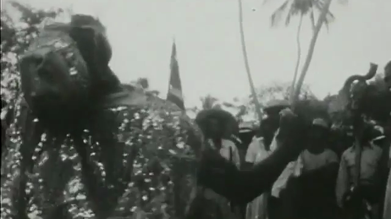 Divine Horsemen - Baton Twirlers