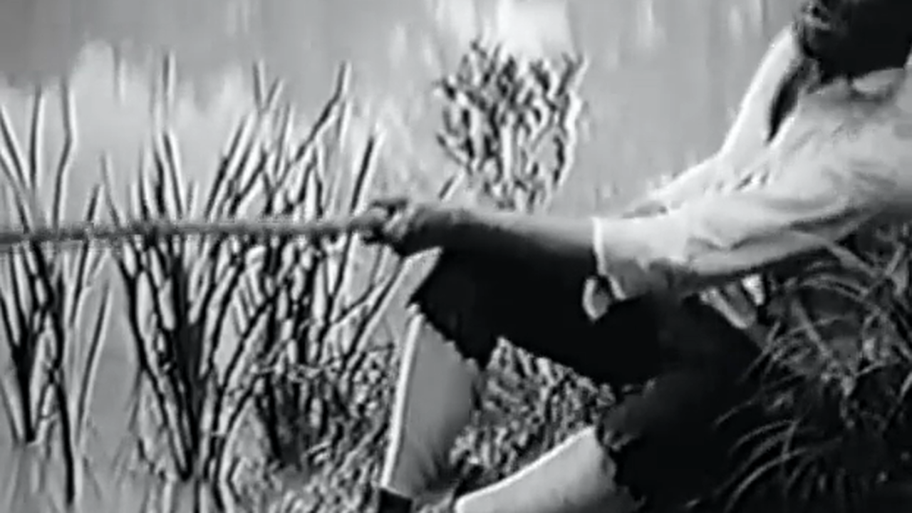 Fish (1916) - Bert Williams Silent Film