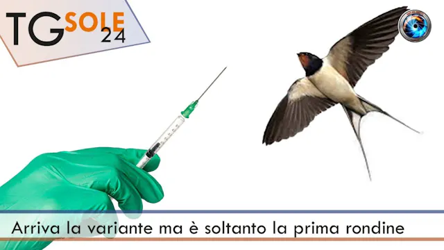 TgSole24 21.12.20 | Arriva la variant...