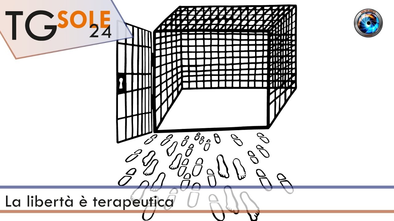 TgSole24 15.03.21 | La libertà è terapeutica