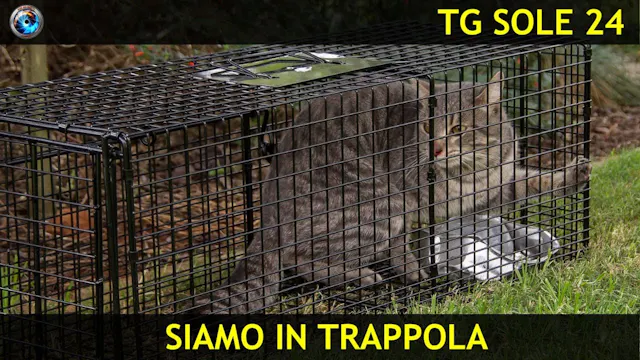 TgSole24 21.10.20 | Siamo in trappola