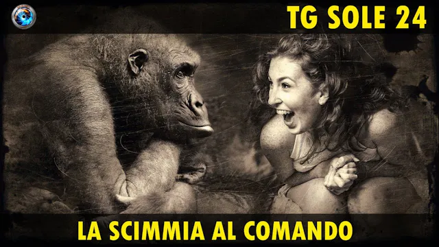 TgSole24 14.10.20 | La scimmia al com...