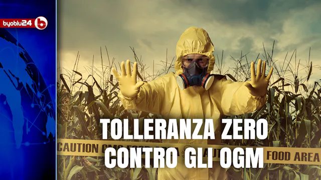 TOLLERANZA 0 CONTRO GLI OGM E RICONVE...