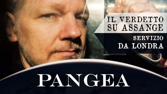 Il verdetto su Assange - Servizio da ...