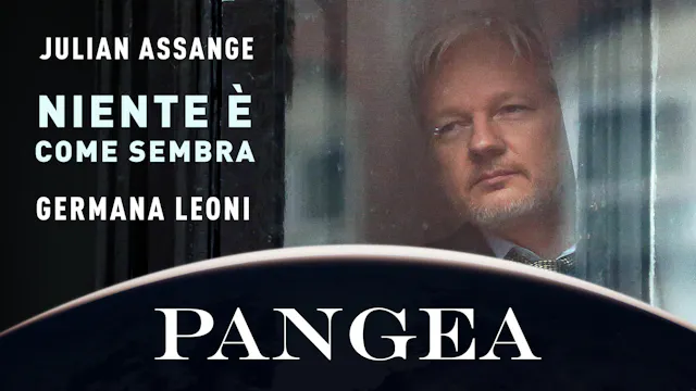 Julian Assange: Niente e come sembra
